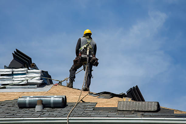 Professional Roof Installation technician working in Prentiss, MS